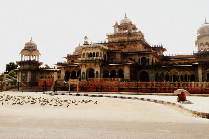 albert hall jaipur