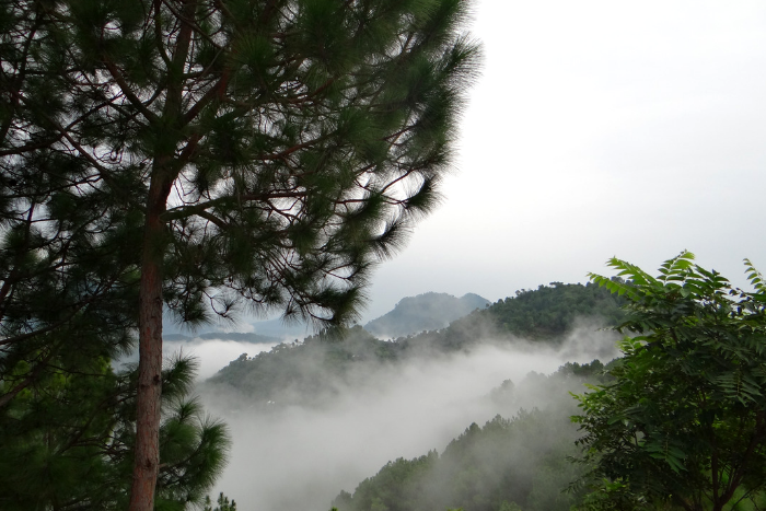 chail - hill stations near delhi