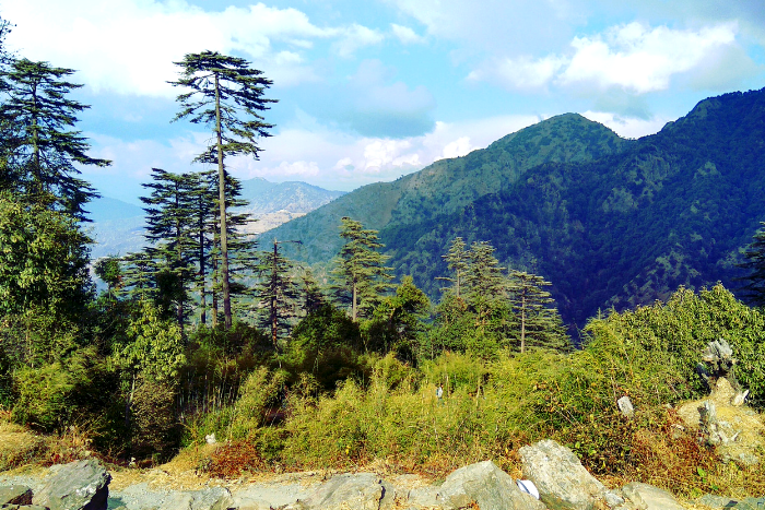 kanatal - hill stations near delhi