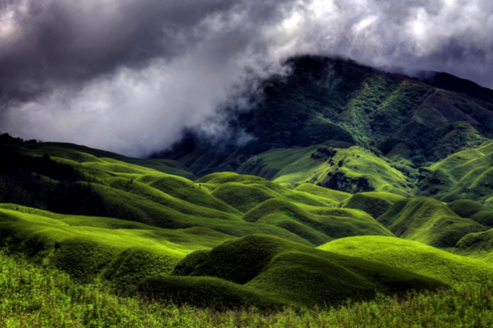 Dzukou Valley