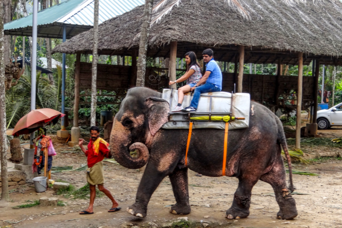 PERIYAR WILDLIFE SANCTUARY