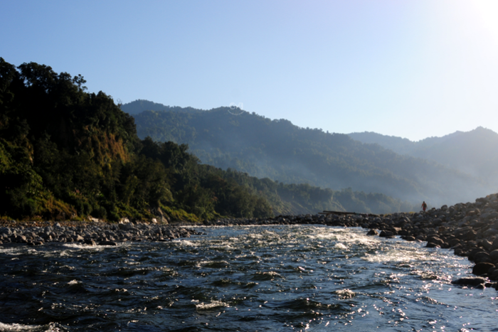 NAMDHAPA NATIONAL PARK, ARUNACHAL PRADESH