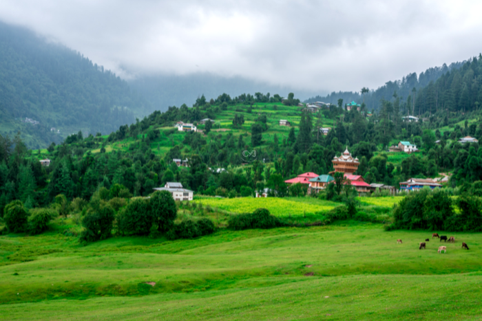 GREAT HIMALAYAN NATIONAL PARK, HIMACHAL PRADESH