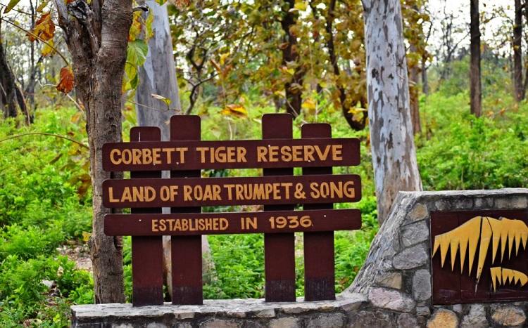 JIM CORBETT