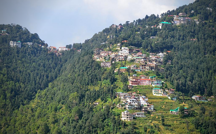 DALHOUSIE