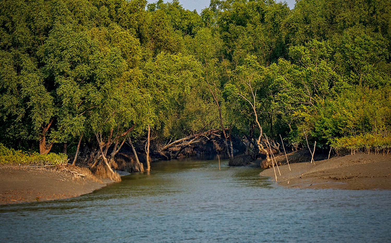 Sundarbans National Park