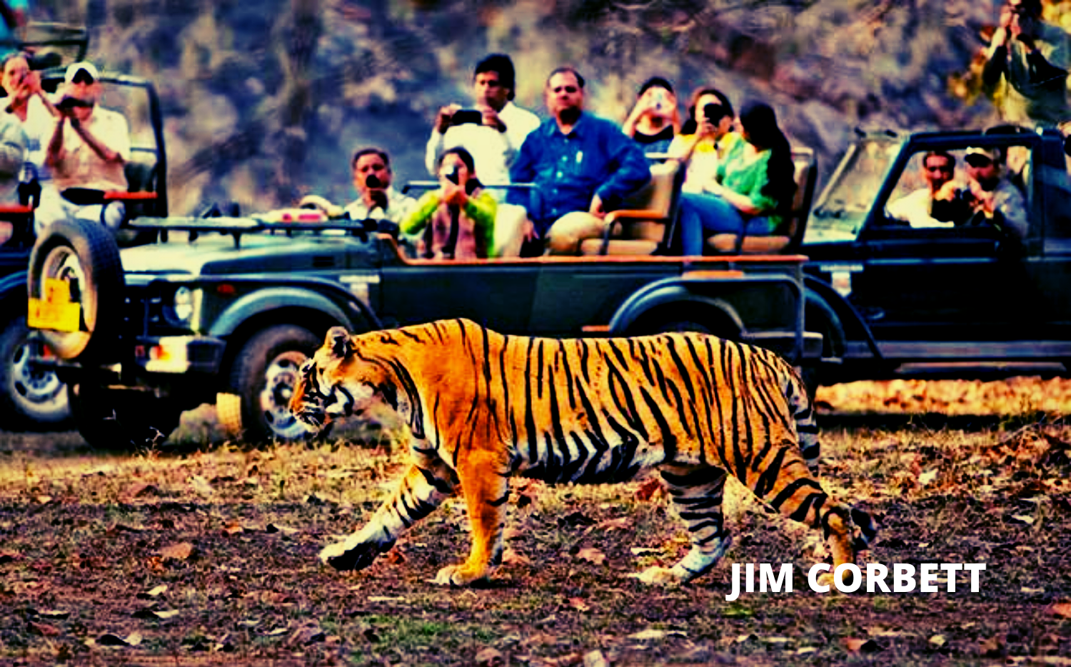 JIM CORBETT