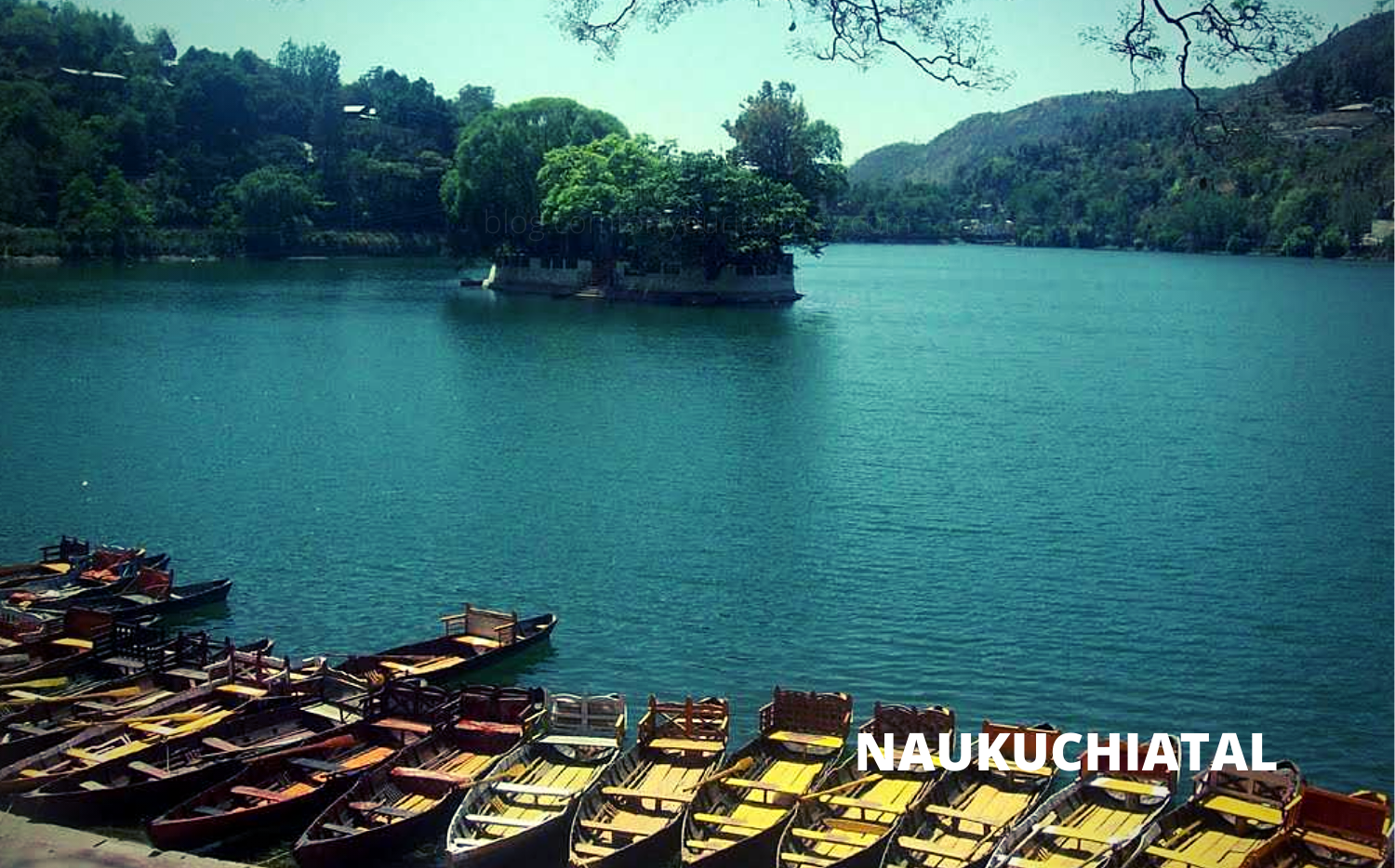 NAUKUCHIATAL