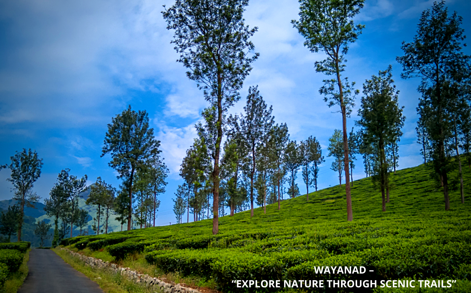 WAYANAD