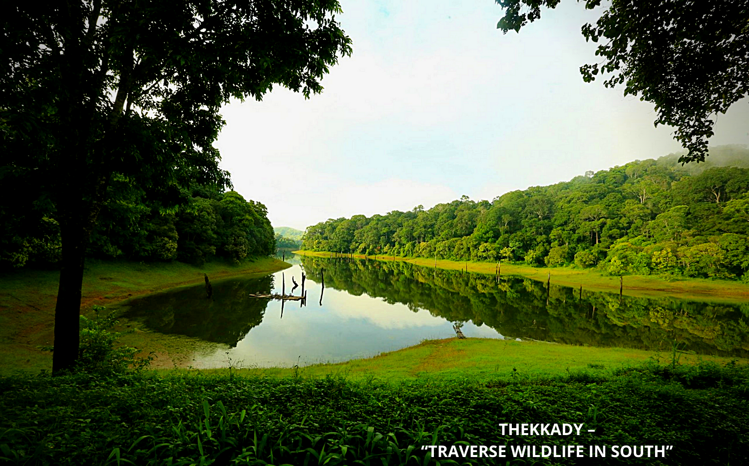 THEKKADY