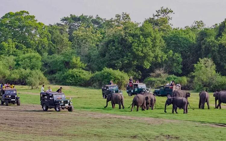 corporate offsite venues in ranthambore