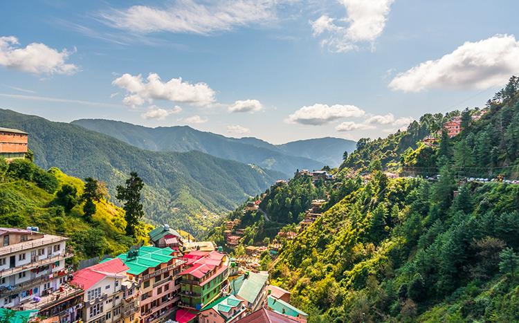 shimla new year packages 2024