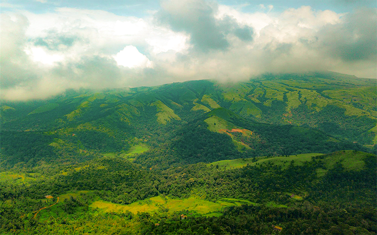 Corporate Offsite in Coorg