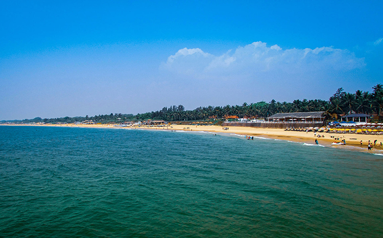 New Year Celebration in Goa