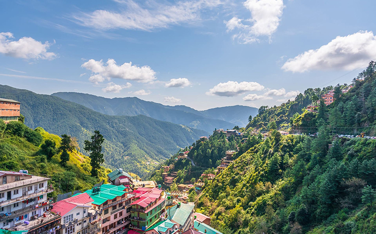 New Year Celebration in Shimla