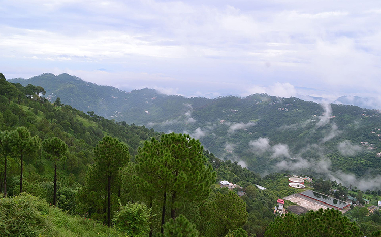 New Year Celebration in Kasauli