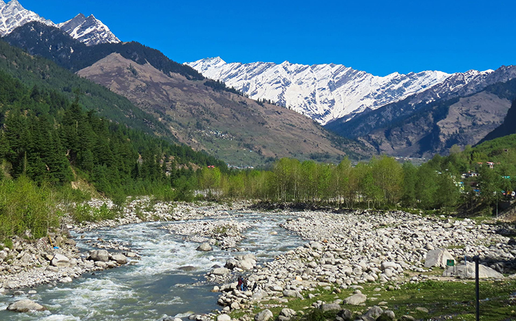 New Year Celebration in Manali